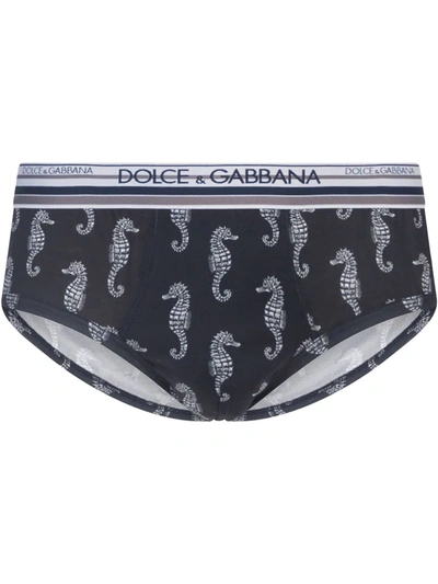 Dolce & Gabbana Seahorse Print Briefs In Blue