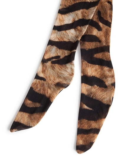 Dolce & Gabbana Tiger Print Tights In Brown