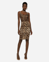 Dolce & Gabbana Leopard-print Cady Corset-style Midi Dress In Animal Print