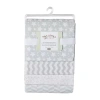 3 Stories Trading Company 4-pc. Receiving Blanket In Gray