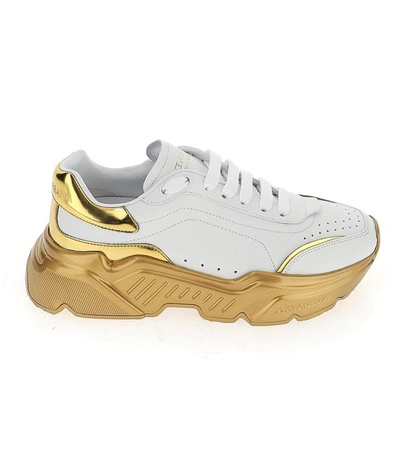 Dolce & Gabbana Dolce&amp;gabbana Daymaster Sneakers In White/gold