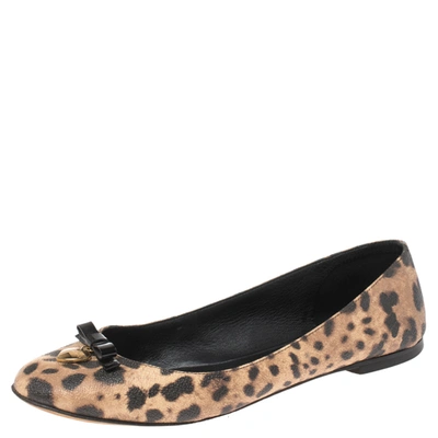 Pre-owned Dolce & Gabbana Brown Animal Print Canvas Bow Detail Ballet Flat Size 39