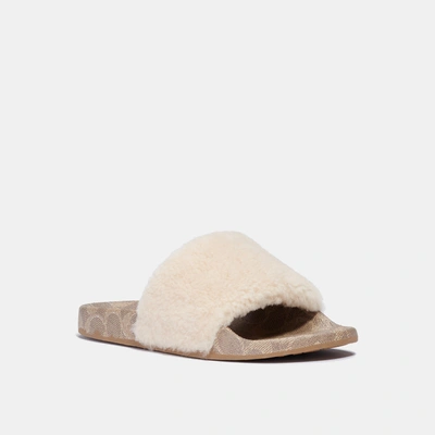 Coach Ulla Signature Shearling Pool Slides In Ivory