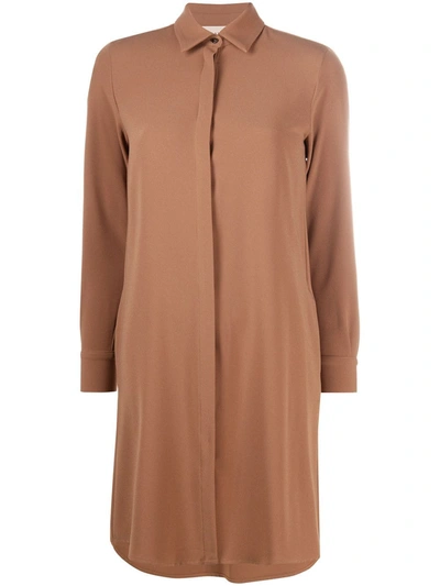 Blanca Vita Long-sleeved Shirt Dress In Brown