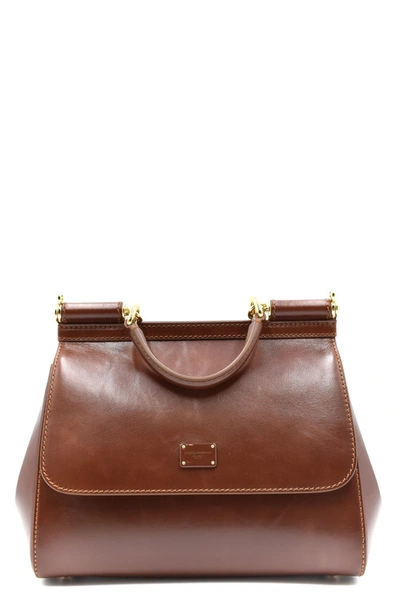 Dolce & Gabbana Bags. Leather Brown In Multi