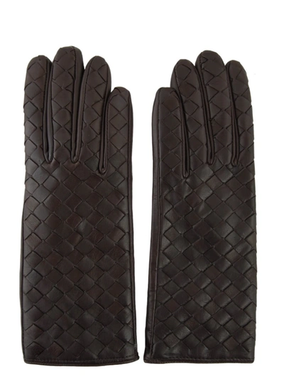 Sermoneta Gloves Ladie's Gloves In Dark Brown