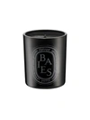 DIPTYQUE BAIES COLOURED SCENTED CANDLE