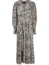 Isabel Marant Zebra-print Long Dress In Black