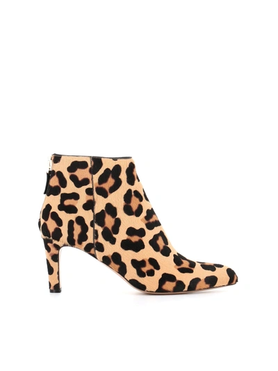 Antonio Barbato Ankle Boot Mj580 In Spotted