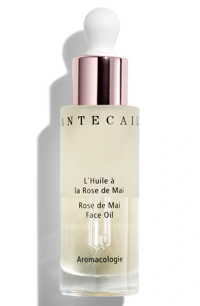 Chantecaille + John Derian Rose De Mai Face Oil, 30ml - One Size In Default Title