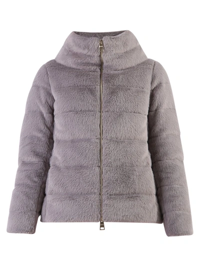 Herno Padded Puffer Jacket In Grey