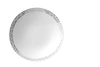 Rosenthal Tac 02 Skin Platinum Rim Soup Plate In White