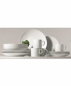 ROSENTHAL THOMAS BY ROSENTHAL LOFT 16-PC SET, SERVICE FOR 4