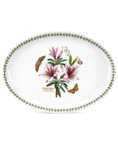 PORTMEIRION BOTANIC GARDEN OVAL PLATTER, 15"