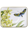 Villeroy & Boch Serveware, Amazonia After Dinner Saucer