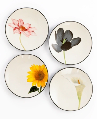 Noritake Colorwave Floral Set Of 4 Appetizer Plates In Graphite
