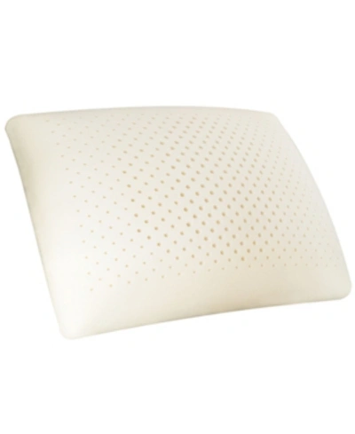 Carpenter Co. Isocool Memory Foam Standard Side Sleeper Pillow In White
