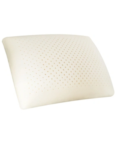 Carpenter Co. Comfort Tech Serene Foam Standard Traditional Pillow In White