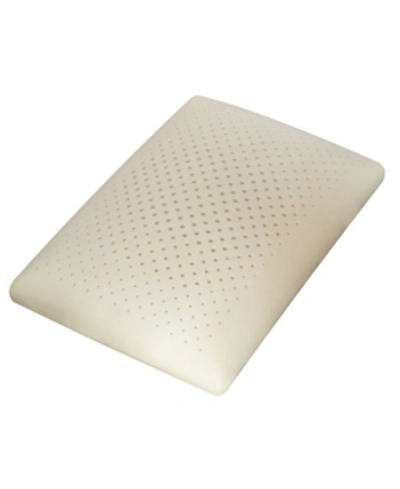 Carpenter Co. Isocool Memory Foam Standard Traditional Pillow In White