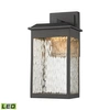 Elk Lighting Newcastle Led Outdoor Wall Sconce In Matte Black In Black