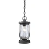 Elk Lighting Farmstead 1-light Outdoor Pendant In Matte Black In Black