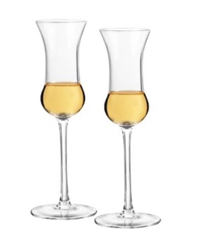 Qualia Glass Gin Nosing Glasses, Set Of 2