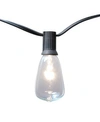 JH SPECIALTIES INC/LUMABASE LUMABASE 10 ELECTRIC EDISON STRING LIGHTS