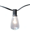 Jh Specialties Inc/lumabase Lumabase 10 Electric Edison String Lights In White