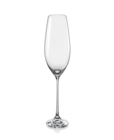 Red Vanilla Viola White Wine Glass 11.75 Oz, Set Of 6 In Clear