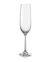RED VANILLA VIOLA FLUTED CHAMPAGNE GLASS 6.5 OZ, SET OF 12