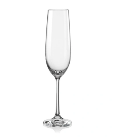 Red Vanilla Viola Fluted Champagne Glass 6.5 Oz, Set Of 12 In Clear