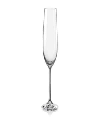 Red Vanilla Viola Fluted Champagne Glass 6.5 Oz, Set Of 6 In Clear