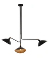 Safavieh Lewis Metal Pendant Lamp In Black
