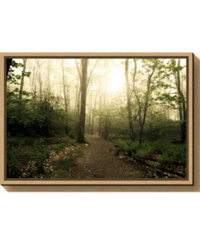Amanti Art Appalachian Trail By Andy Magee Canvas Framed Art In Black