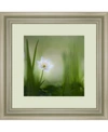 AMANTI ART ALONE FRAMED ART PRINT