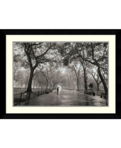 Amanti Art Poet's Walk Framed Art Print