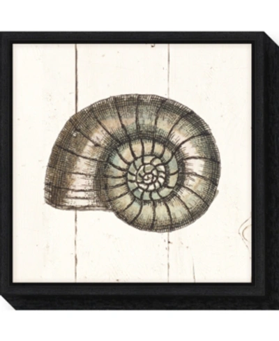 Amanti Art Shell Sketches I Shiplap Canvas Framed Art In Black