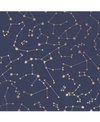 Tempaper Constellations Peel And Stick Wallpaper In Navy