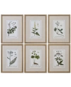 Uttermost Green Floral Botanical Study Prints In Multi