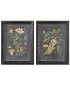 Uttermost Wall Art, Midnight Botanicals
