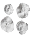 Uttermost Sea Coral Wall Art