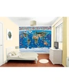 BREWSTER HOME FASHIONS MAP OF THE WORLD WALL MURAL