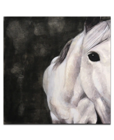 Ready2hangart , 'snow Horse' Canvas Wall Art, 20x20" In Multi