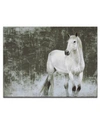 READY2HANGART , 'WHITE HORSE CANVAS WALL ART, 30X40"