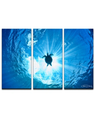 Ready2hangart 'sea Turtle' 3-pc. Canvas Art Print Set In No Color