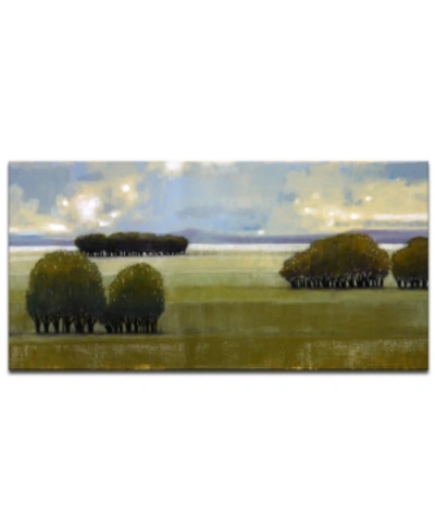 Ready2hangart 'green' Pasture Canvas Wall Art, 24x48" In Multi