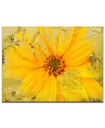 Ready2hangart 'painted Petals Xxxvi' Canvas Wall Decor In No Color