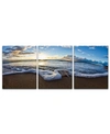 Ready2hangart 'sea Star' 3-pc. Canvas Art Print Set In No Color