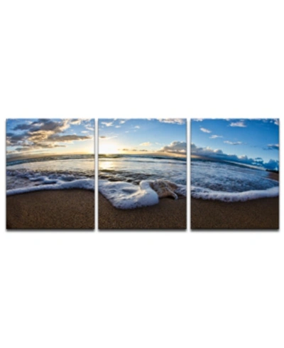 Ready2hangart 'sea Star' 3-pc. Canvas Art Print Set In No Color