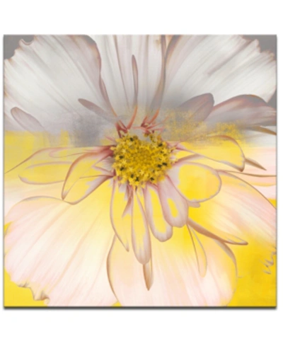Ready2hangart 'painted Petals Xxxiv' Canvas Wall Decor In No Color